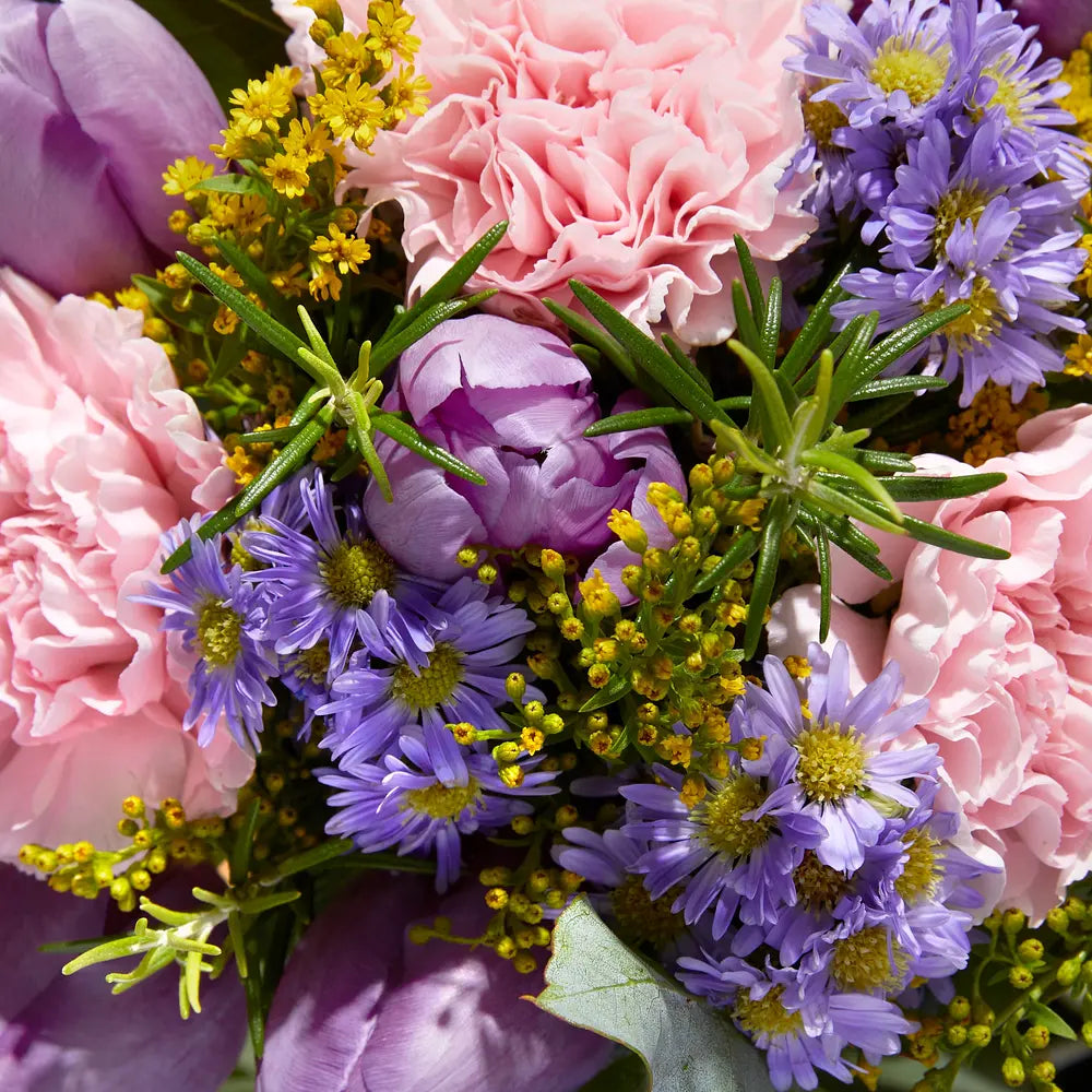 Charming Spring Bouquet with Pink Carnations, Purple Tulips, and Asters