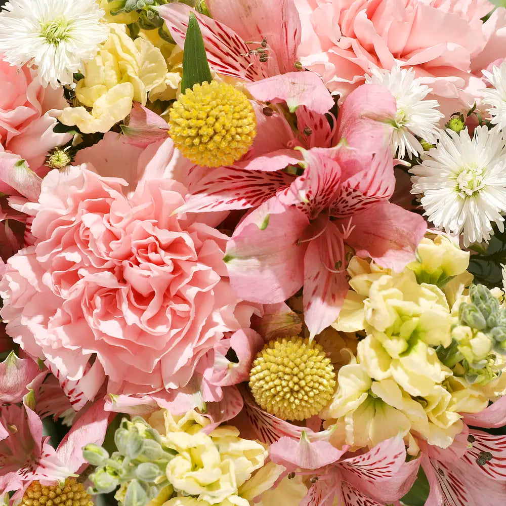 Elegant Spring Bouquet with Pink Carnations, Yellow Snapdragons, and White Daisies