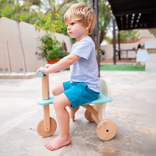 Tuk Tuk – The Tricycle - Blue