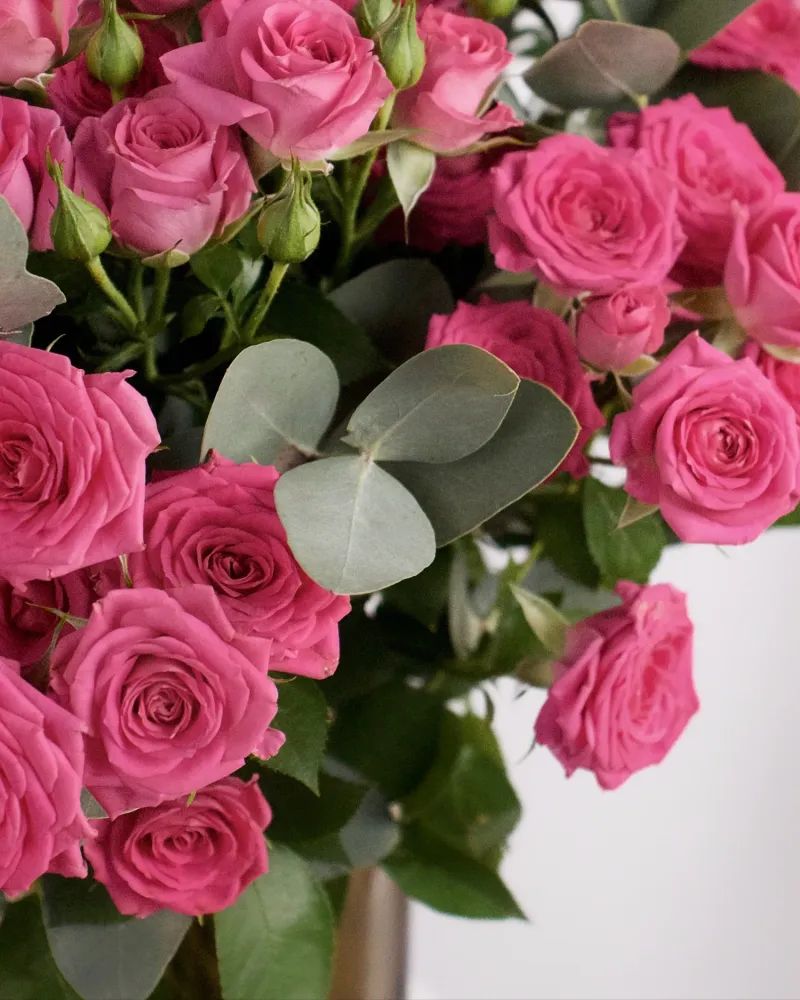 MAJESTIC PINK ROSE BOUQUET WITH EUCALYPTUS