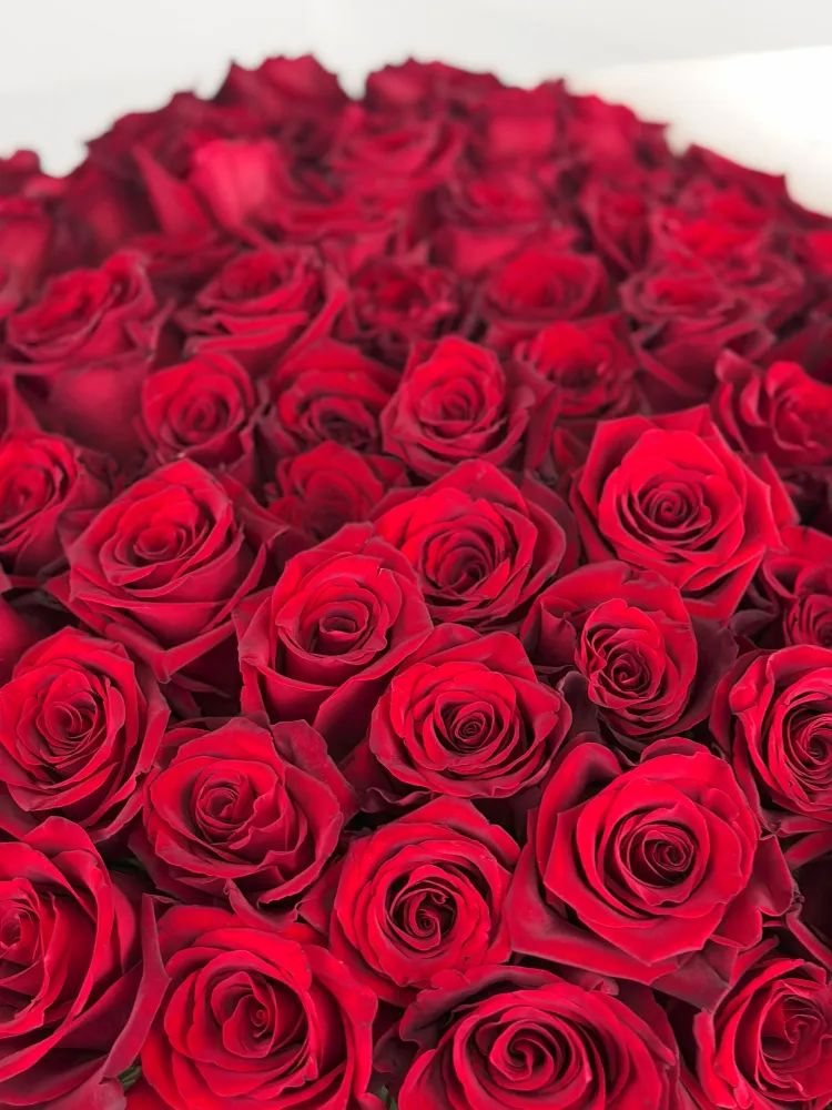 LUXURIOUS BOUQUET OF 101 RED ROSES